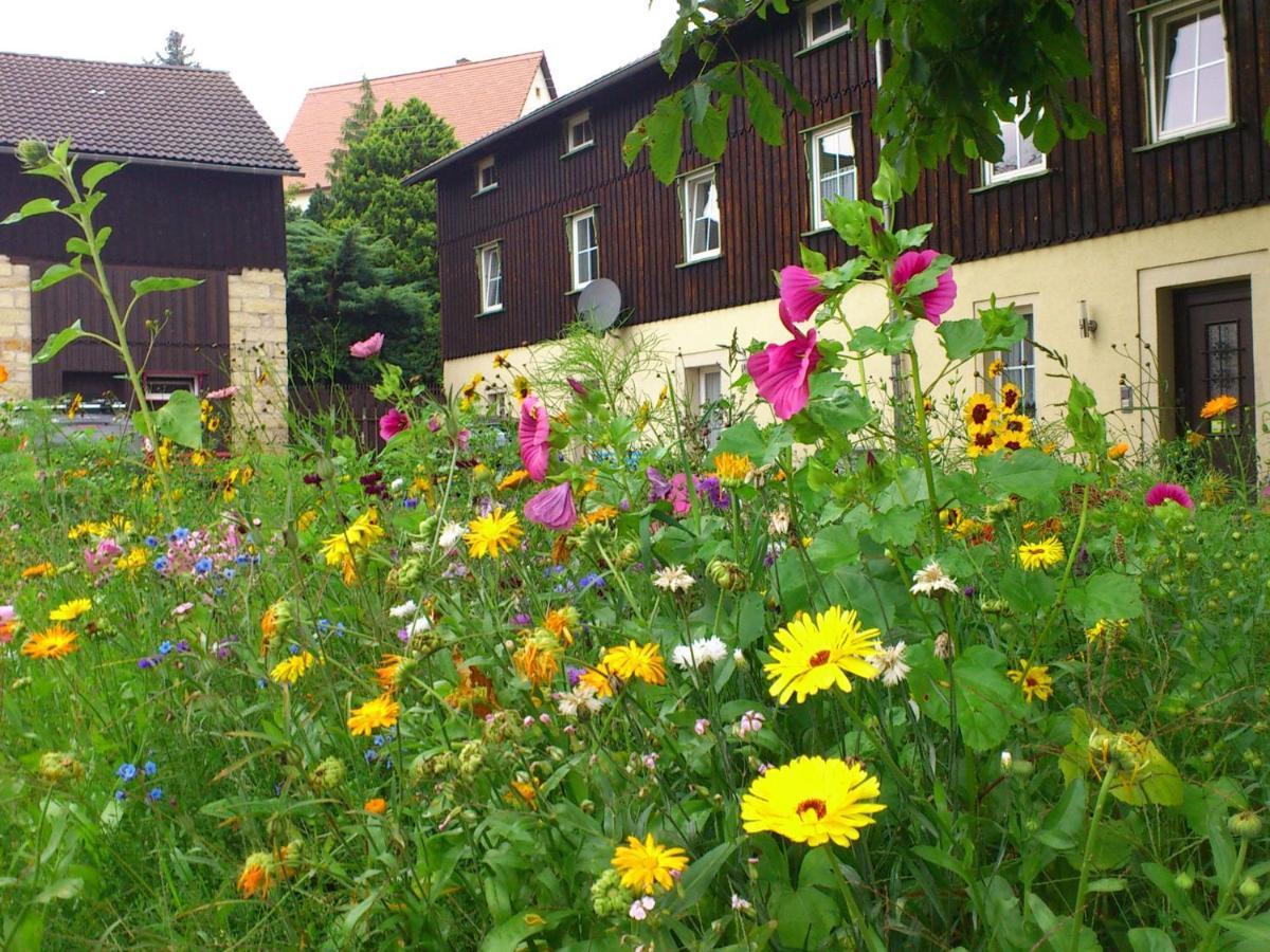 Comfy Apartment In Weissig With Garden Room photo